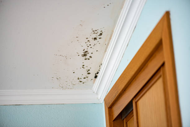 Water Damage Restoration in Clear Lake, WI