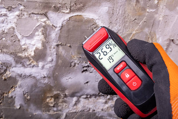 Best Attic Mold Removal  in Clear Lake, WI