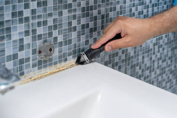 Best Commercial Mold Removal  in Clear Lake, WI