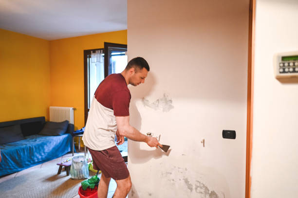 Best Mold Testing  in Clear Lake, WI